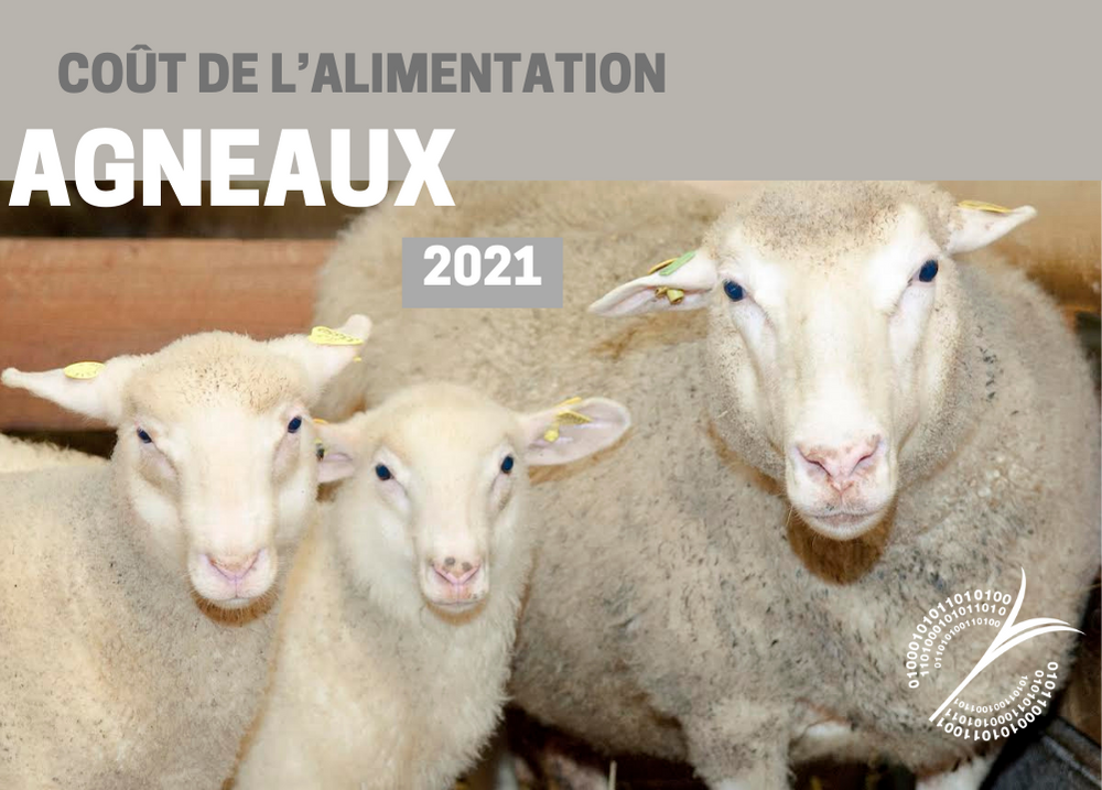Analyses comparatives : COÛT DE l'ALIMENTATION - AGNEAUX 2021